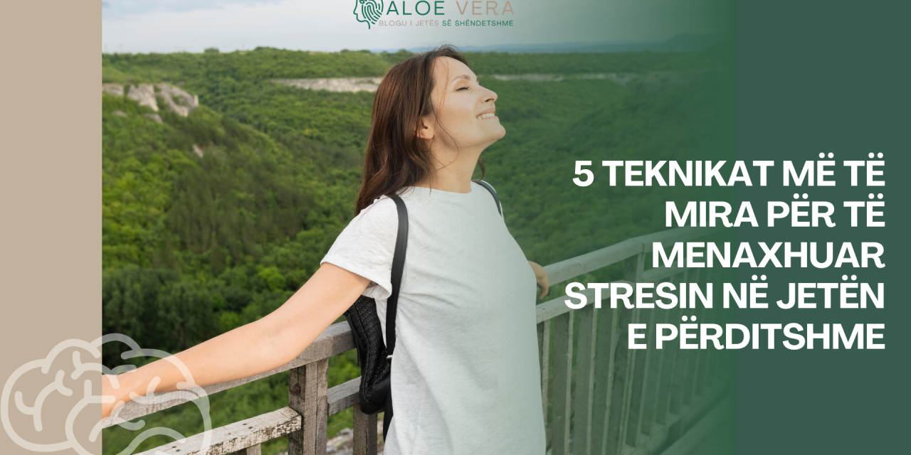5 Teknikat më të Mira për të Menaxhuar Stresin në Jetën e Përditshme