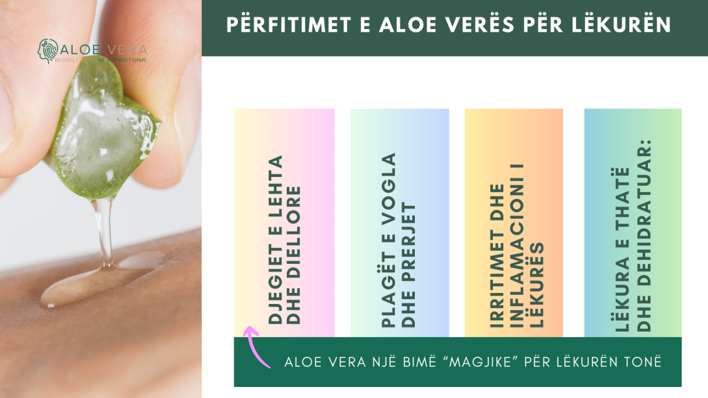 Përfitimet Shëruese të Aloe Verës për Lëkurën