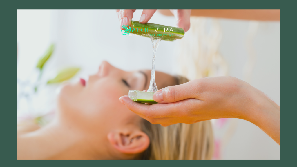 aloe vera për trajtimin të lëkurës dhe plagëve