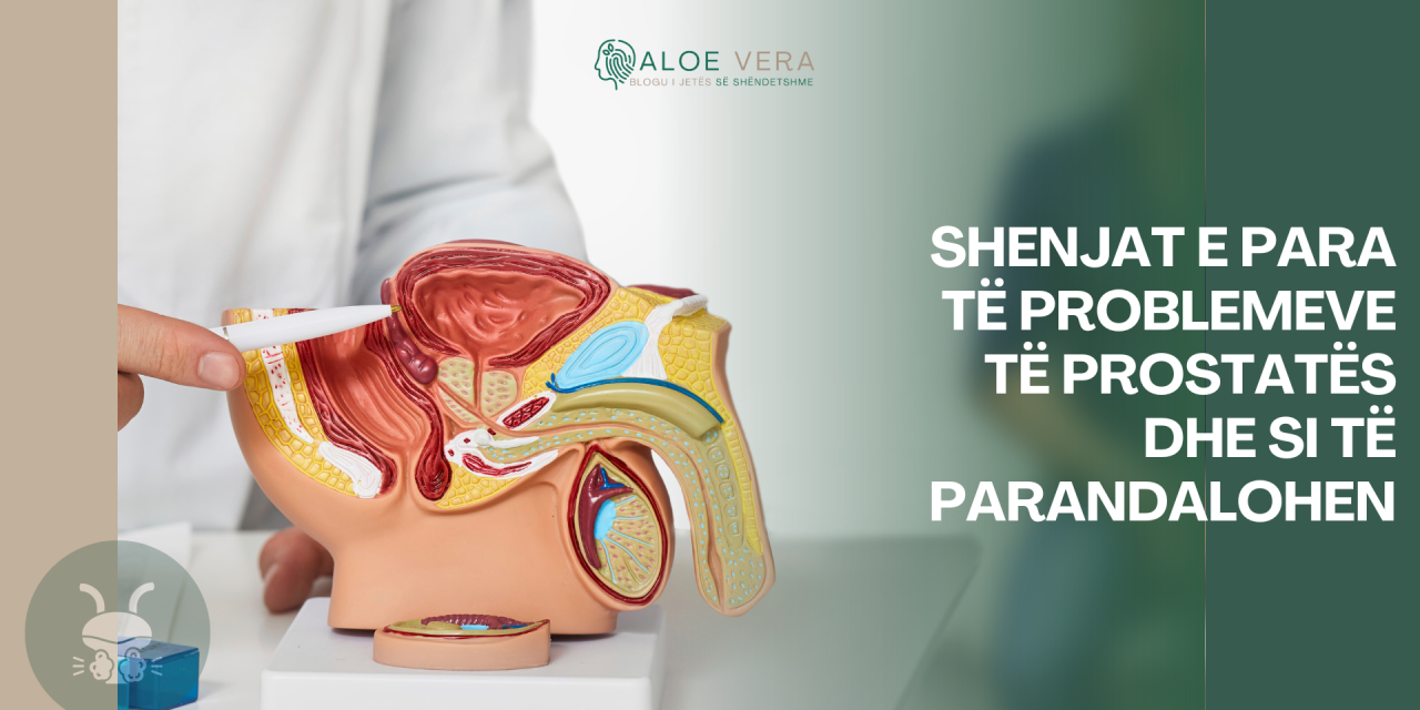 Shenjat e Para të Problemeve të Prostatës dhe Si të Parandalohen