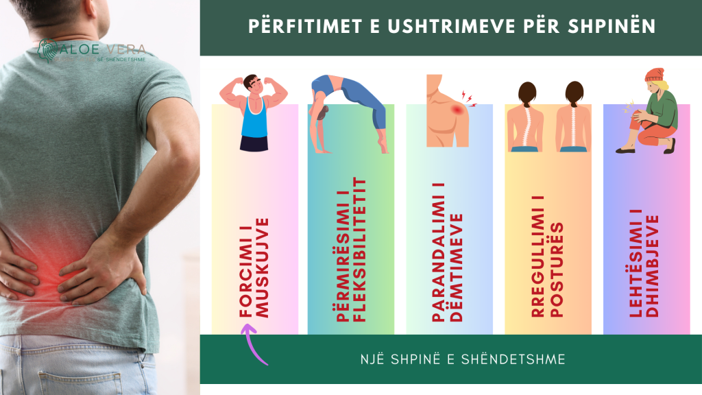 Përfitimet e Ushtrimeve për Shpinën