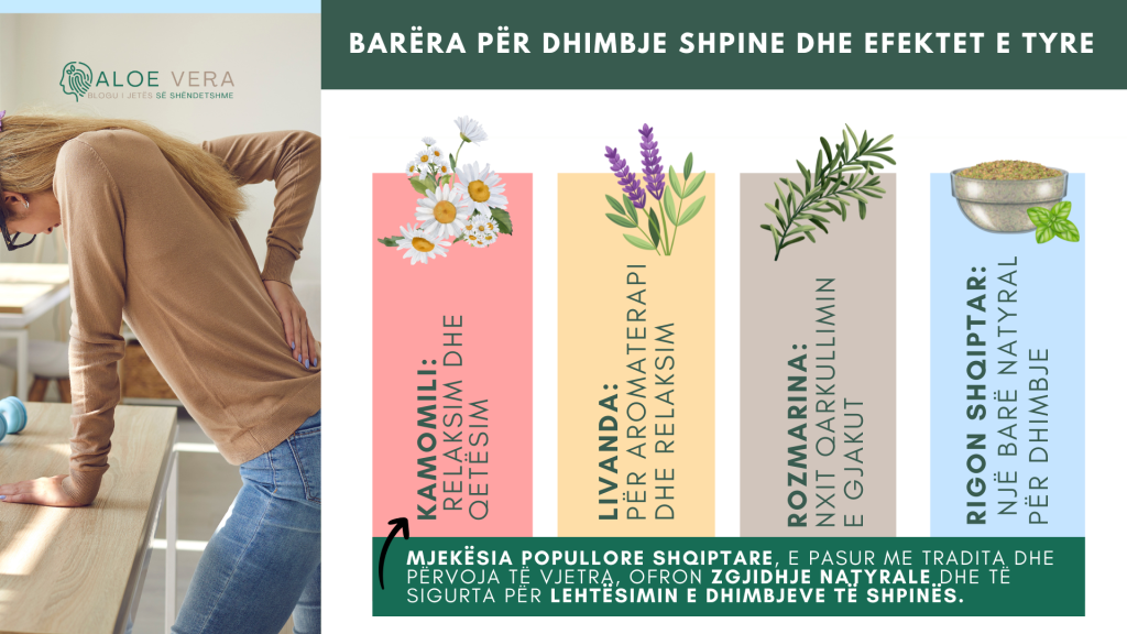 Dhimbjet e shpinës