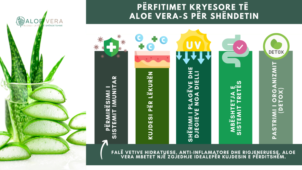 Përfitimet e Aloe Vera